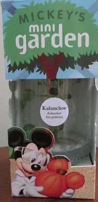 8255285682_4f7376772f