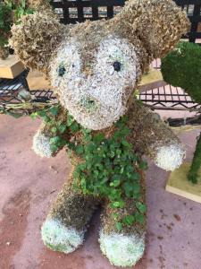 10639635_817784531608558_6904586096027881589_n