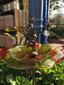 10986966_817783118275366_5230620643976670411_n